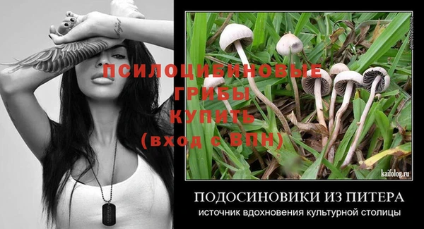 стаф Абинск