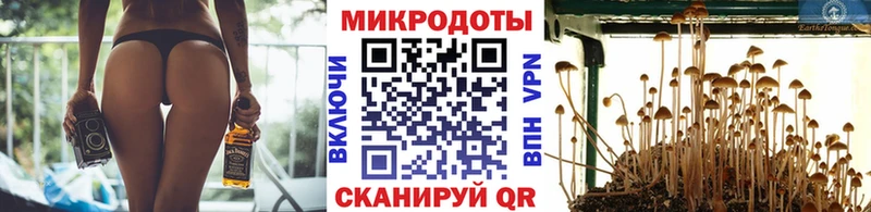 MEGA онион  Камышлов  Псилоцибиновые грибы MAGIC MUSHROOMS 